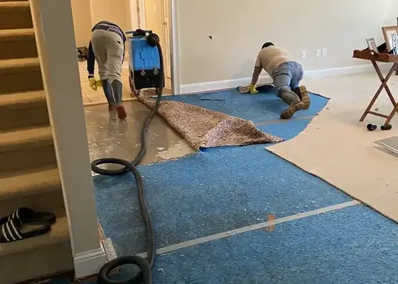 Technician running an extraction wand over wet carpet in Sandy
