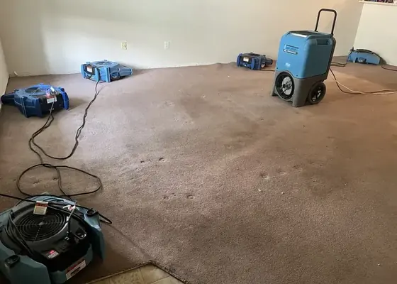 Dehumidifier and air movers drying wet carpet in a Sandy basement