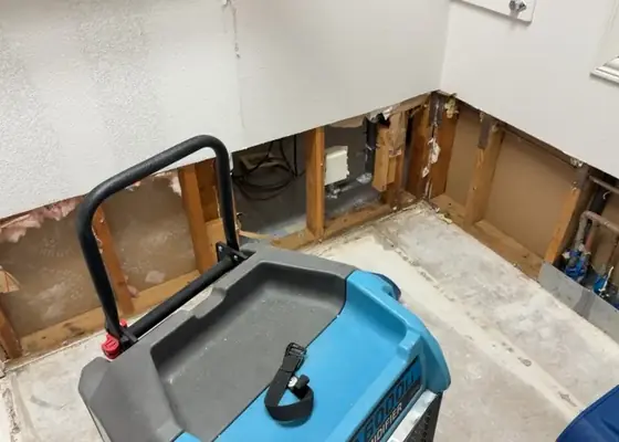 Flood-cut drywall and a dehumidifier during a Sandy basement dry-out