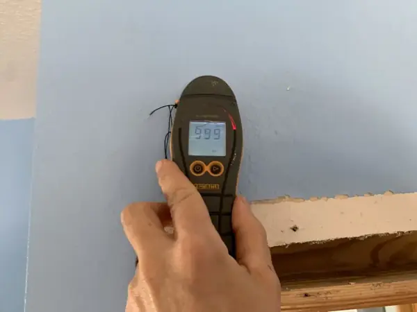 Moisture meter reading taken on a wet wall during a Sandy water damage inspection