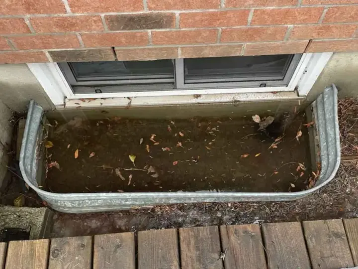 Flooded basement window well full of water and leaves at a Sandy, UT home